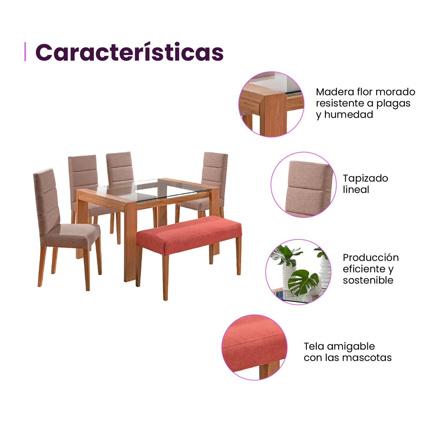 Infografía mueble juego de comedor seis puestos características producto beige