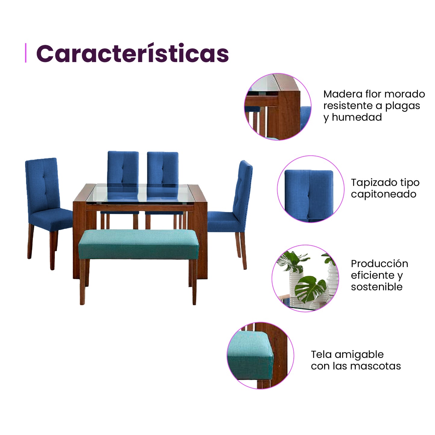 Infografía mueble juego de comedor seis puestos características producto color azul