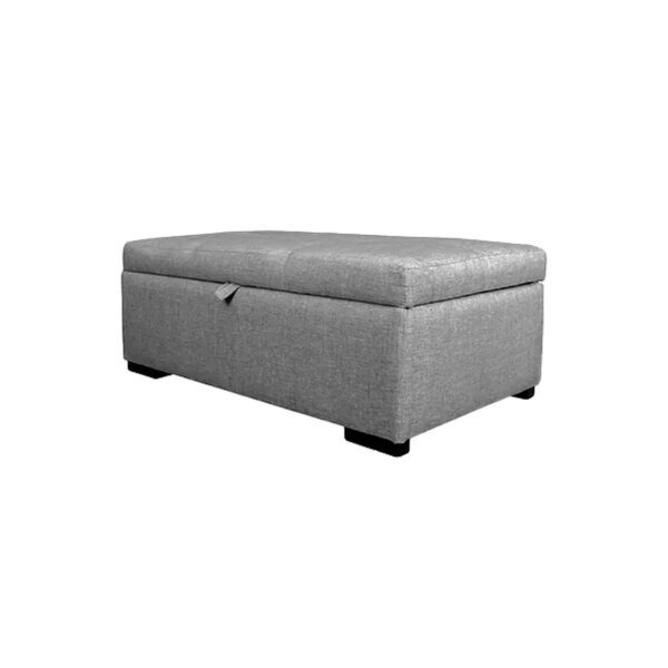 BAÚL TAPIZADO GRIS